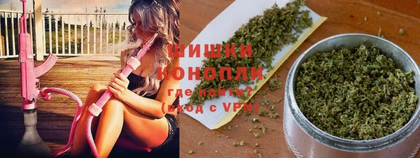 мяу мяу мука Аркадак